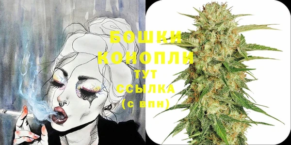 шишки Ладушкин