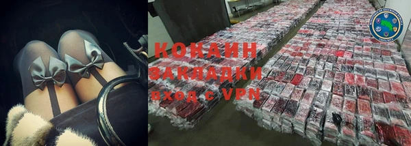 шишки Ладушкин