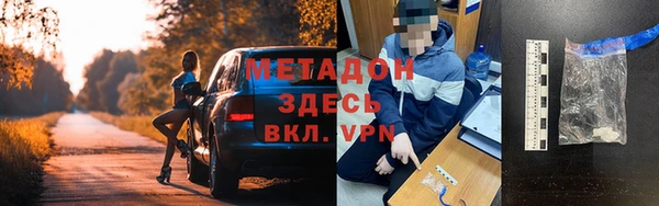 шишки Ладушкин