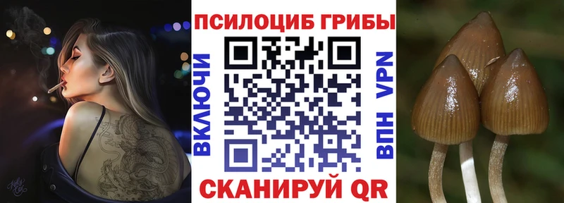 Галлюциногенные грибы мицелий  Темников 